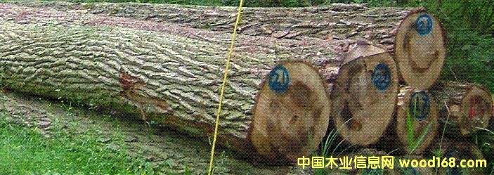 ľԭľԔ(x)B